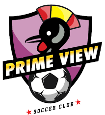 Prime View Soccer Academy